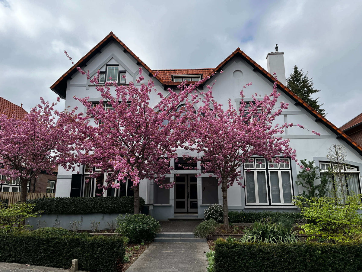 LMI office in Zeist